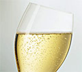 Dégustation Champagne