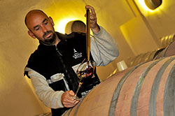 Florent Campana, vineyard manager
