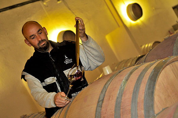 Florent Campana, vineyard manager